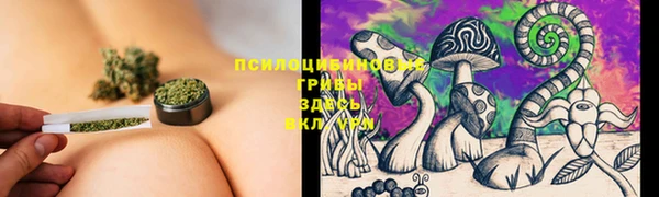ГАЛЛЮЦИНОГЕННЫЕ ГРИБЫ Нея