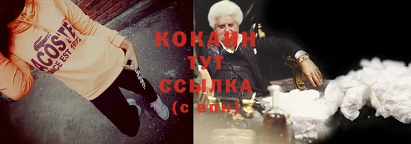 ГАЛЛЮЦИНОГЕННЫЕ ГРИБЫ Нея