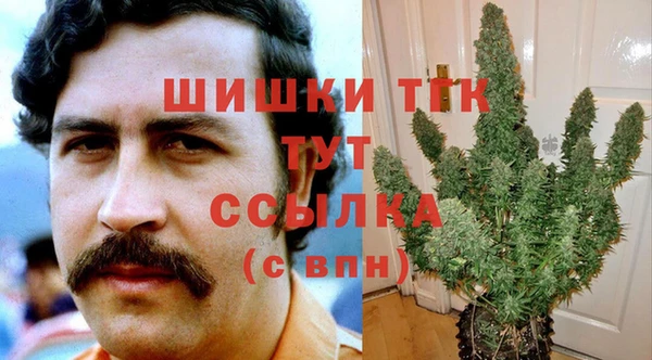 ГАЛЛЮЦИНОГЕННЫЕ ГРИБЫ Нея