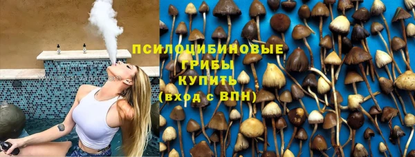 ГАЛЛЮЦИНОГЕННЫЕ ГРИБЫ Нея