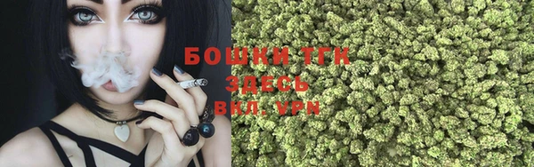 ГАЛЛЮЦИНОГЕННЫЕ ГРИБЫ Нея
