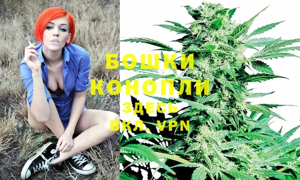 ГАЛЛЮЦИНОГЕННЫЕ ГРИБЫ Нея